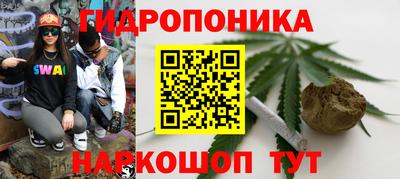 стафф Бугуруслан